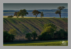 DSC06355vyvolano1