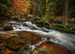 Michaela-Strieblibova