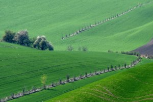 DSC_3044-u