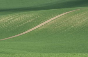 DSC_3023-u