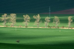 DSC_3071-u