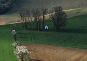DSC_3226-u