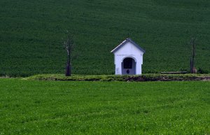DSC_3406-u