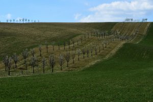 DSC_3435-u