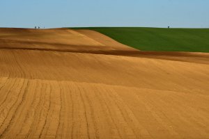 DSC_3634-u