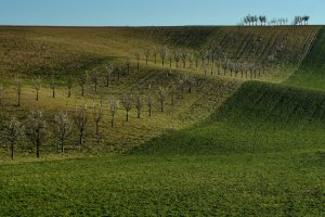 DSC_3646-u